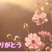 ヒメ日記 2025/09/16 23:23 投稿 小野 人妻風俗チャンネル