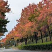 ヒメ日記 2025/11/06 10:53 投稿 小野 人妻風俗チャンネル