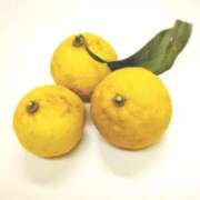 ヒメ日記 2025/12/17 15:41 投稿 小野 人妻風俗チャンネル