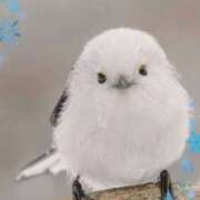 ヒメ日記 2026/01/09 14:18 投稿 小野 人妻風俗チャンネル