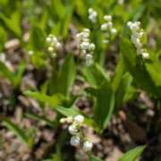 ヒメ日記 2026/04/22 08:20 投稿 小野 人妻風俗チャンネル