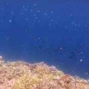 ヒメ日記 2025/07/01 18:48 投稿 百合 マドンナSANSAIN