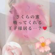 ヒメ日記 2025/07/30 12:28 投稿 さくら マドンナSANSAIN