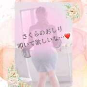 ヒメ日記 2025/08/02 08:28 投稿 さくら マドンナSANSAIN