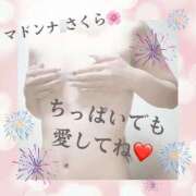 ヒメ日記 2025/08/07 09:08 投稿 さくら マドンナSANSAIN