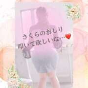 ヒメ日記 2025/08/26 09:28 投稿 さくら マドンナSANSAIN