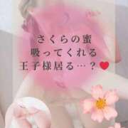 ヒメ日記 2025/08/28 11:18 投稿 さくら マドンナSANSAIN