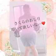 ヒメ日記 2025/12/09 16:48 投稿 さくら マドンナSANSAIN