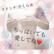 ヒメ日記 2025/12/15 14:42 投稿 さくら マドンナSANSAIN