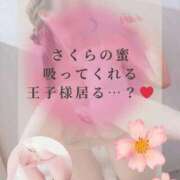 ヒメ日記 2025/12/27 17:58 投稿 さくら マドンナSANSAIN