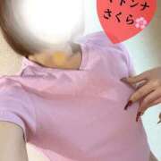 さくら 出勤してます🥰 マドンナSANSAIN