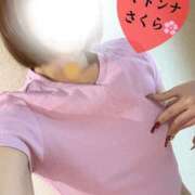 ヒメ日記 2026/03/25 12:18 投稿 さくら マドンナSANSAIN