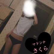 ヒメ日記 2026/04/04 19:09 投稿 さくら マドンナSANSAIN