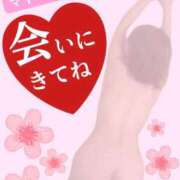 ヒメ日記 2026/04/15 14:25 投稿 さくら マドンナSANSAIN