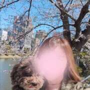 ヒメ日記 2025/05/20 00:09 投稿 みか 待ちナビ