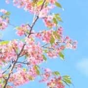 ヒメ日記 2024/12/20 10:28 投稿 丘咲(おかざき) 熟女出逢い会『百合の園』目黒店