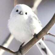 ヒメ日記 2025/02/07 17:58 投稿 丘咲(おかざき) 熟女出逢い会『百合の園』目黒店