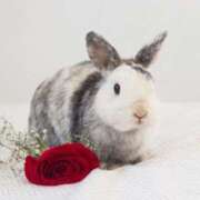 ヒメ日記 2025/02/08 12:38 投稿 丘咲(おかざき) 熟女出逢い会『百合の園』目黒店