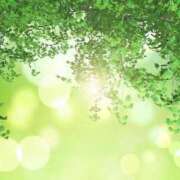 ヒメ日記 2025/05/03 13:08 投稿 丘咲(おかざき) 熟女出逢い会『百合の園』目黒店