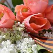 ヒメ日記 2025/05/29 12:28 投稿 丘咲(おかざき) 熟女出逢い会『百合の園』目黒店