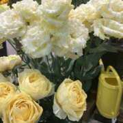 ヒメ日記 2025/06/07 10:48 投稿 丘咲(おかざき) 熟女出逢い会『百合の園』目黒店