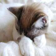 ヒメ日記 2025/08/19 19:38 投稿 丘咲(おかざき) 熟女出逢い会『百合の園』目黒店