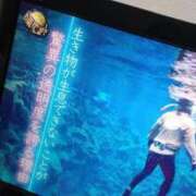 ヒメ日記 2025/09/07 20:40 投稿 ゆゆか 奥様特急三条店