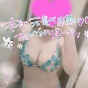 ヒメ日記 2025/09/08 14:23 投稿 ゆゆか 奥様特急三条店