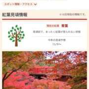 ヒメ日記 2025/10/10 18:03 投稿 ゆゆか 奥様特急三条店