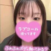 ヒメ日記 2025/04/04 17:27 投稿 とわ 群馬伊勢崎ちゃんこ