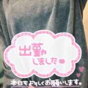 ヒメ日記 2025/05/05 15:27 投稿 とわ 群馬伊勢崎ちゃんこ