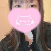 ヒメ日記 2025/05/12 12:27 投稿 とわ 群馬伊勢崎ちゃんこ