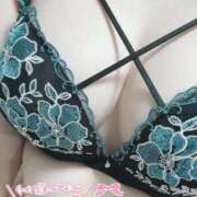 ヒメ日記 2025/10/09 22:06 投稿 とわ 埼玉本庄ちゃんこ