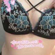 とわ 11/29お礼日記 埼玉本庄ちゃんこ