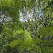 瑠璃(るり) 登山 グランドオペラ東京