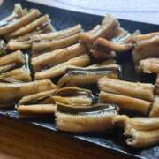 瑠璃(るり) 久しぶりの🎣 グランドオペラ東京