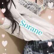 ヒメ日記 2025/03/07 11:07 投稿 仁科そらね アロマピュアン新橋（シンデレラグループ）