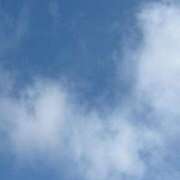 ヒメ日記 2025/01/05 15:36 投稿 ゆき 道玄坂クリスタル