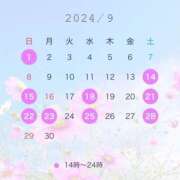 ヒメ日記 2024/08/22 10:08 投稿 よしの ハピネス東京