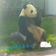 ヒメ日記 2024/12/12 17:08 投稿 さやか ぽちゃかわ専門店　ぽちゃぽちゃイケてる