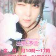 ヒメ日記 2024/12/13 00:14 投稿 さやか ぽちゃかわ専門店　ぽちゃぽちゃイケてる