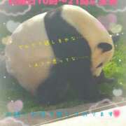 ヒメ日記 2024/12/14 00:08 投稿 さやか ぽちゃかわ専門店　ぽちゃぽちゃイケてる