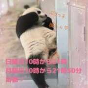 ヒメ日記 2024/12/22 00:08 投稿 さやか ぽちゃかわ専門店　ぽちゃぽちゃイケてる