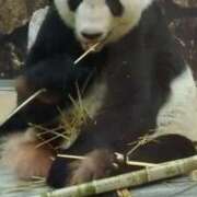 ヒメ日記 2025/02/15 10:01 投稿 さやか ぽちゃかわ専門店　ぽちゃぽちゃイケてる