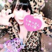 ヒメ日記 2025/03/09 10:03 投稿 さやか ぽちゃかわ専門店　ぽちゃぽちゃイケてる