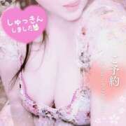 ヒメ日記 2025/04/06 09:58 投稿 さやか ぽちゃかわ専門店　ぽちゃぽちゃイケてる