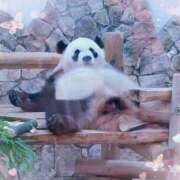 ヒメ日記 2025/04/22 00:07 投稿 さやか ぽちゃかわ専門店　ぽちゃぽちゃイケてる