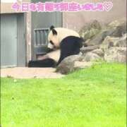 ヒメ日記 2025/05/16 23:06 投稿 さやか ぽちゃかわ専門店　ぽちゃぽちゃイケてる