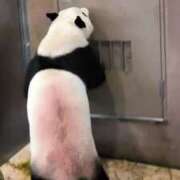 ヒメ日記 2025/05/21 20:46 投稿 さやか ぽちゃかわ専門店　ぽちゃぽちゃイケてる