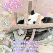 ヒメ日記 2025/05/24 22:14 投稿 さやか ぽちゃかわ専門店　ぽちゃぽちゃイケてる